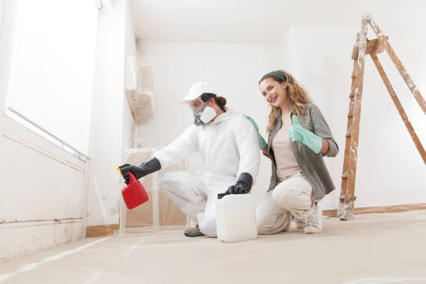 Reliable Terrell Hills, TX Mold Removal Solutions